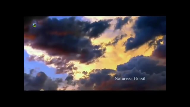 Animais Extremos - Conheça os seus Bebês