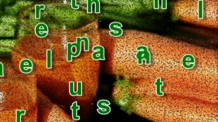 get rid of eye sight problem beacuse this amazing root vegetablle will give you extra                                 i