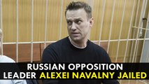 Russian opposition leader Alexei Navalny jailed after protests