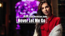 ALOK  Bruno Martini feat. Zeeba - Never Let Me Go