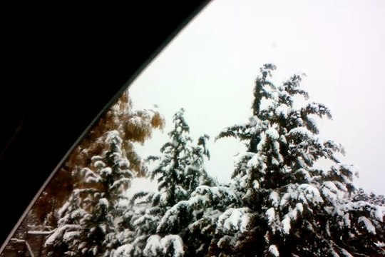 KHENCHELA , خنشلة