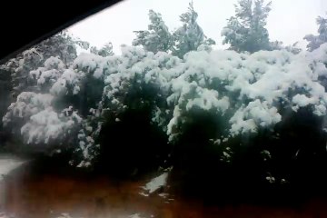 KHENCHELA , خنشلة