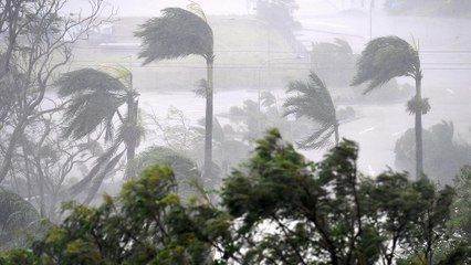 Australie : le cyclone Yasni déferle sur le Queensland