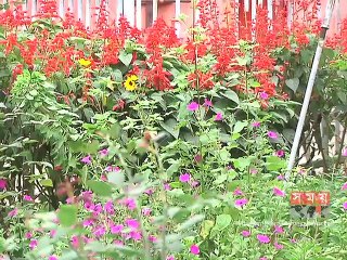 শক্তিশালী দল গড়তে যাচ্ছে ব্রাদার্স ইউনিয়ন