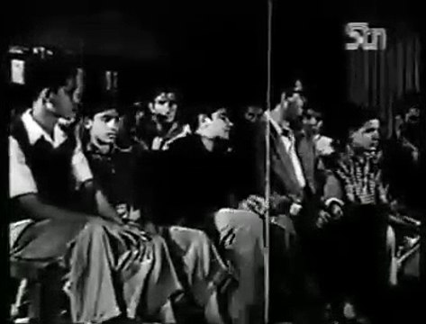 Funy Funy Funy Video