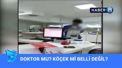 DOKTOR MU KÖÇEK Mİ BELLİ DEĞİL  HABER8
