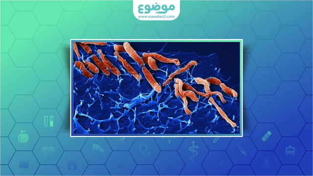 #موضوع: أسباب التهاب فم المعدة