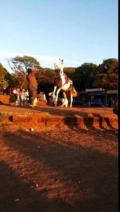 mahabaleshwar