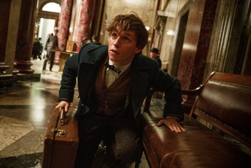 Fantastic Beasts and Where to Find Them Online Gratis Ver Pelicula