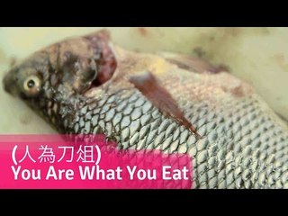 You Are What You Eat (人為刀俎) - Taiwan Horror Short Film // Viddsee.com