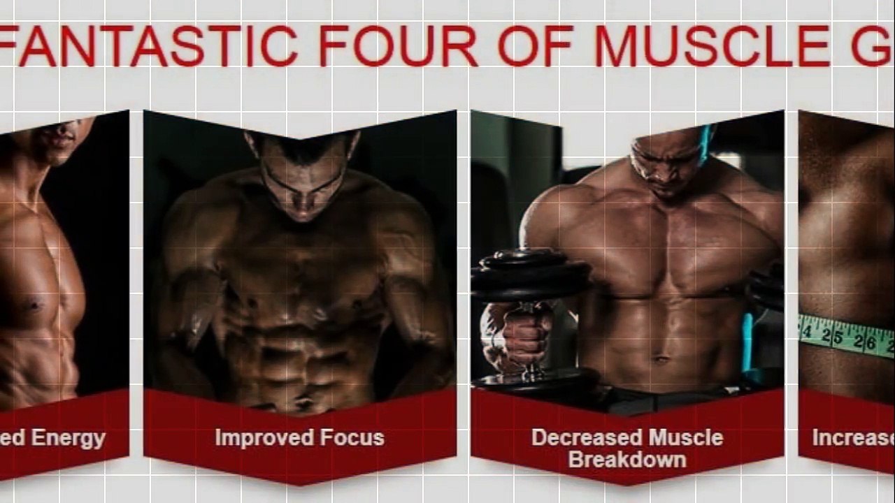 Muscle Building For Beginners