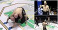 Lutador de MMA confunde árbitro com adversário e aplica-lhe uma chave mata-leão