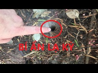 Phát hiện bí ẩn bên trong cái lỗ kỳ lạ trên mặt đất