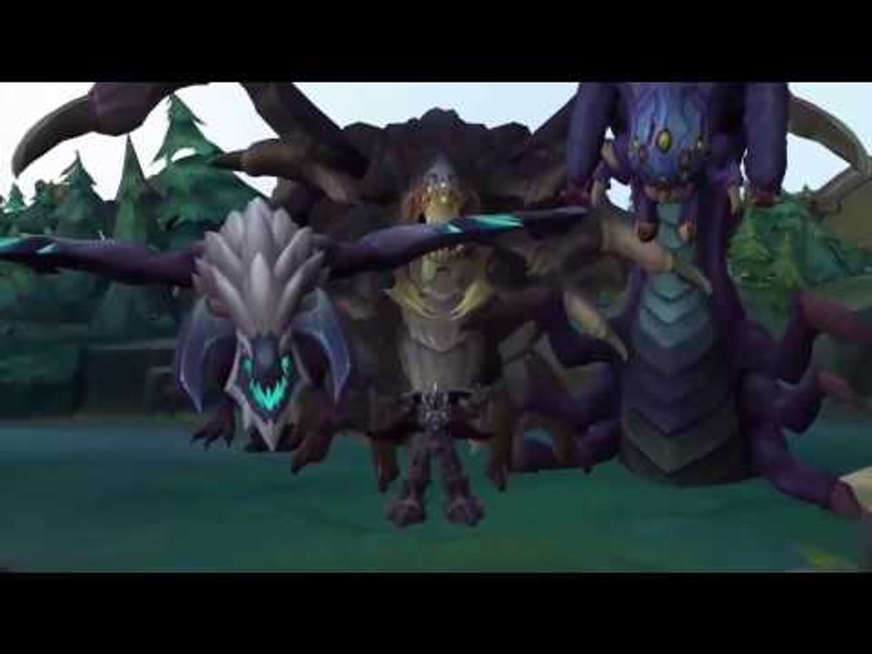 LOL SHUFF MONTAGE : Birds crazy with League of Legends  # Funny League Of Legends