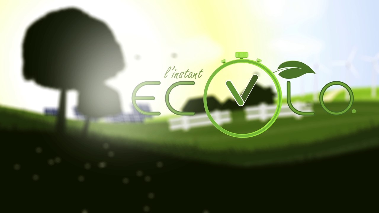 BIENVENUE SUR NOTRE CHAINE OFFICIELLE , L'INSTANT ECOLO