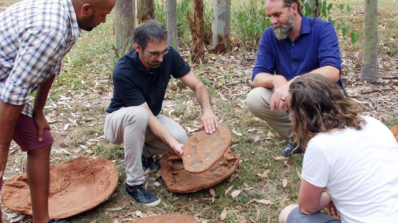 'Australiens Jurassic Park' begeistert Dino-Forscher