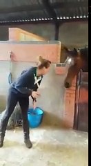 She turns on the music and start dancing. The horse's reaction is hilarious!