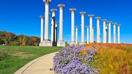 Yellowstone National Park Tour