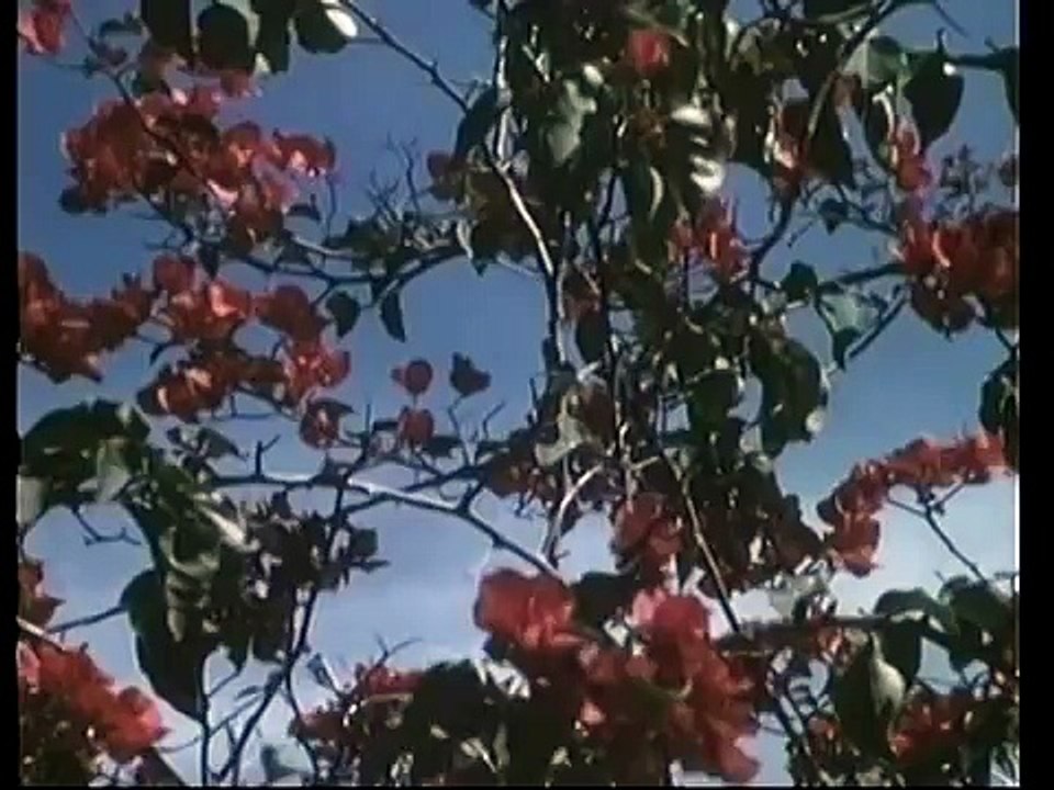 CARACAS AÑO 1964-CIUDAD DE LA ETERNA PRIMAVERA(DOCUMENTAL60'S)