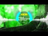 BassBears & Midnight Wolves (ft. Matt Felix) - Voices [Goodbye Copyright Sounds]