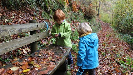 Balade sur les hauteurs de Cauterets