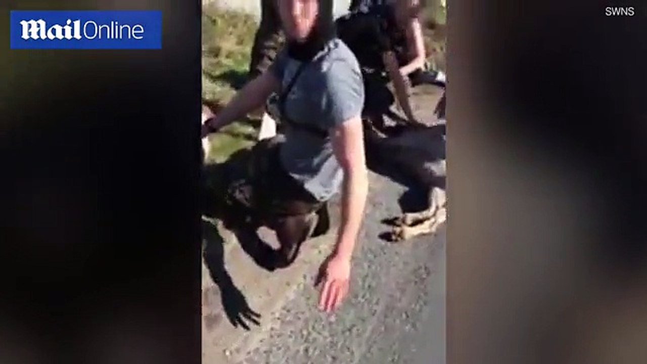 Hounds die after a hunt crosses _busy_ road in Yorkshire _ 2017