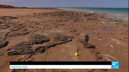 Welcome to Australia's Jurassic Park, with 21 different types of dinosaur tracks identified!