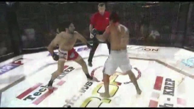 Армянские бойцы в MMA