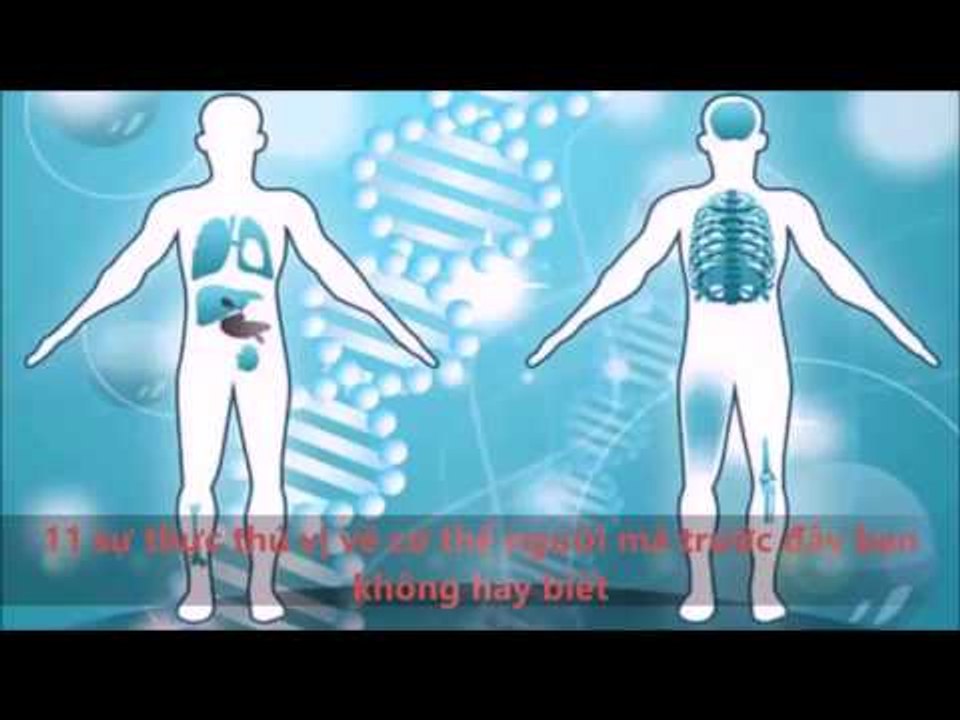 TOP 11 - Những Sự Thực Thú Vị Về Cơ Thể Người