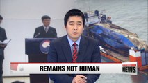 Remains found from Sewol-ho ferry turn out to be animal bones