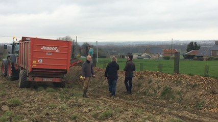 Haiecobois replante le bocage normand