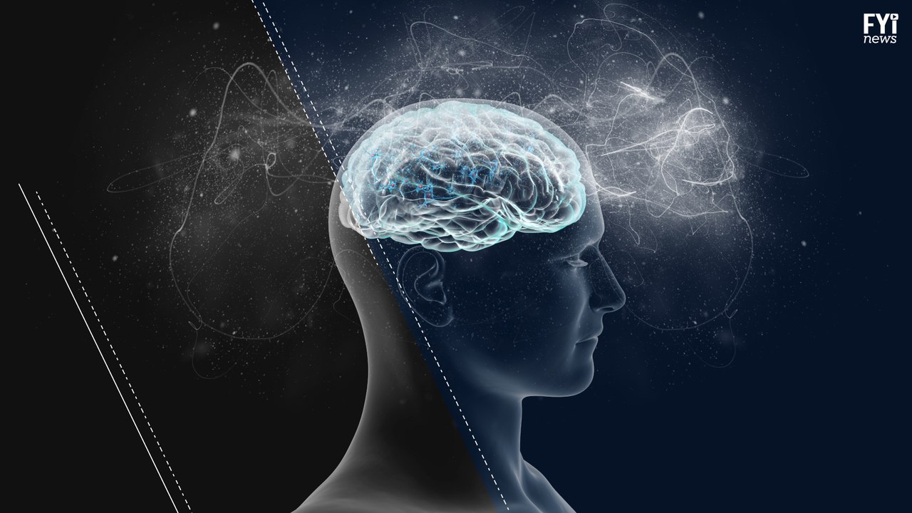 Our Memory Affects Our Decision Making