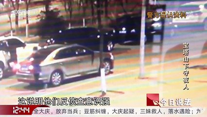 《今日说法》 20170328 宝塔山下守夜人