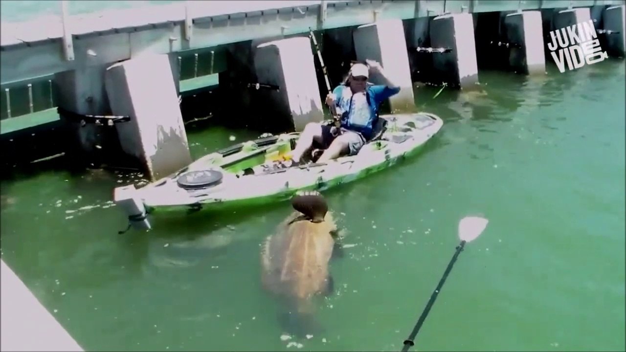Ce pecheur en kayak kayak est en galère avec son mérou géant au bout de la ligne