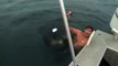 Shaun Harrington échappe de justesse à une attaque de requin