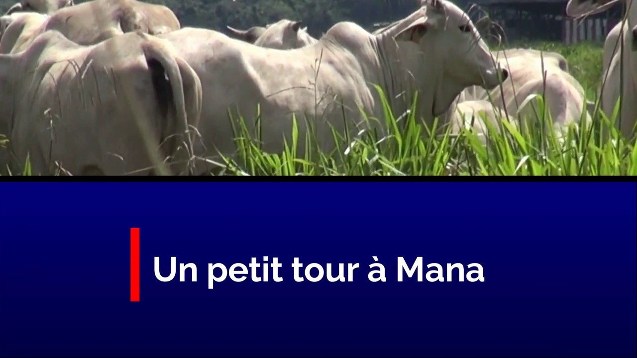 Un petit tour à Mana