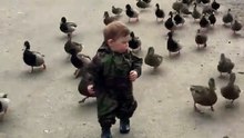 Ce petit garçon et son armée de canards font fondre la Toile. Vous allez craquer !