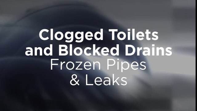 Repairing Clogged Toilet and Blocked Drains