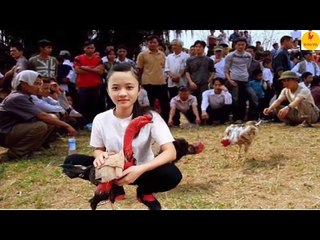 Truyện Gà Chọi - Nữ Quái Kê Sới GÀ CHỌI Khét Tiếng