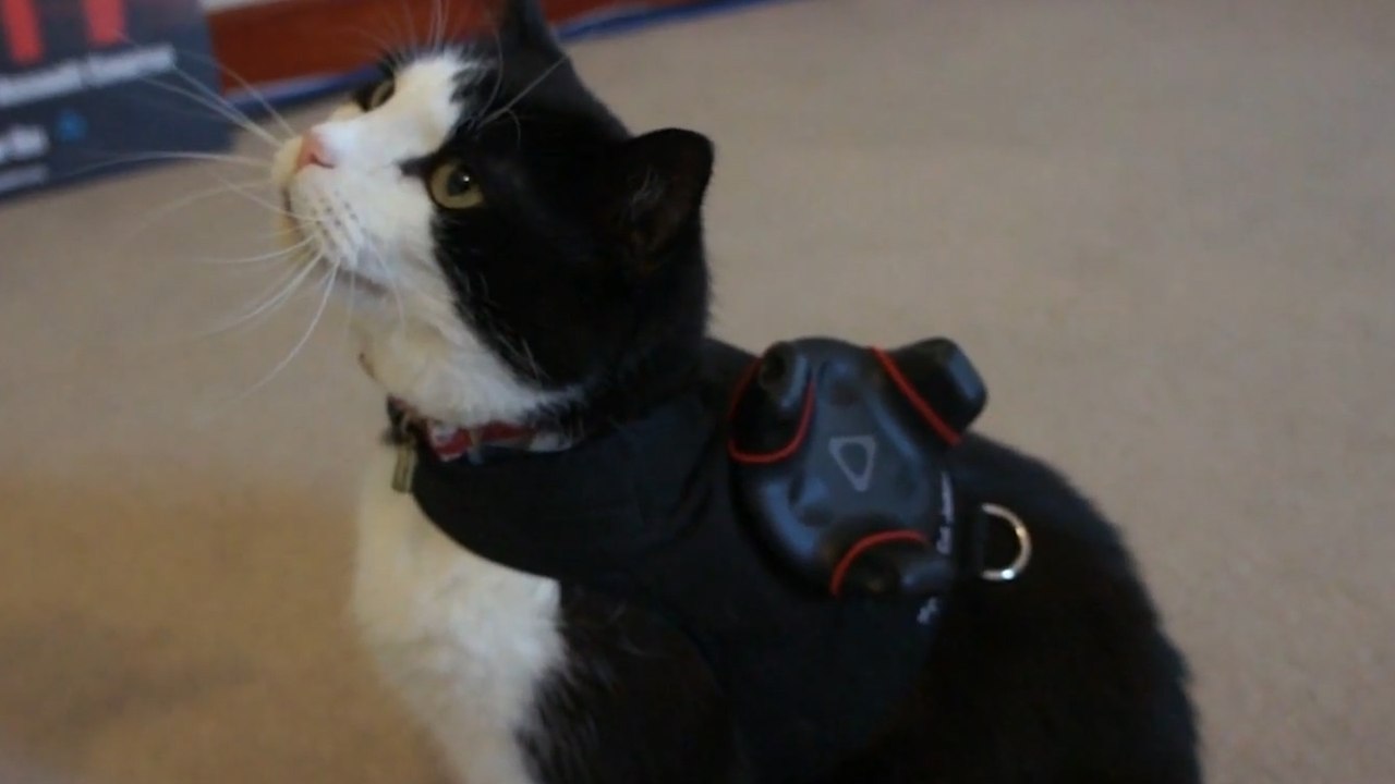 Keep Tabs On Your Pets In Virtual Reality With This New Device