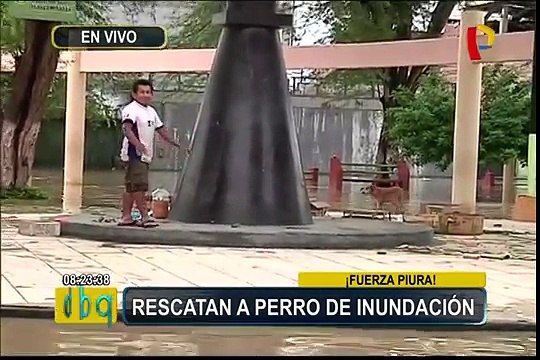 Piura: calles, viviendas y negocios continúan inundados tras desborde