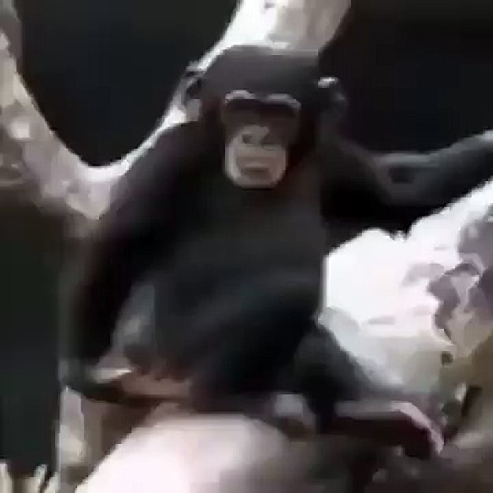 funny-sad