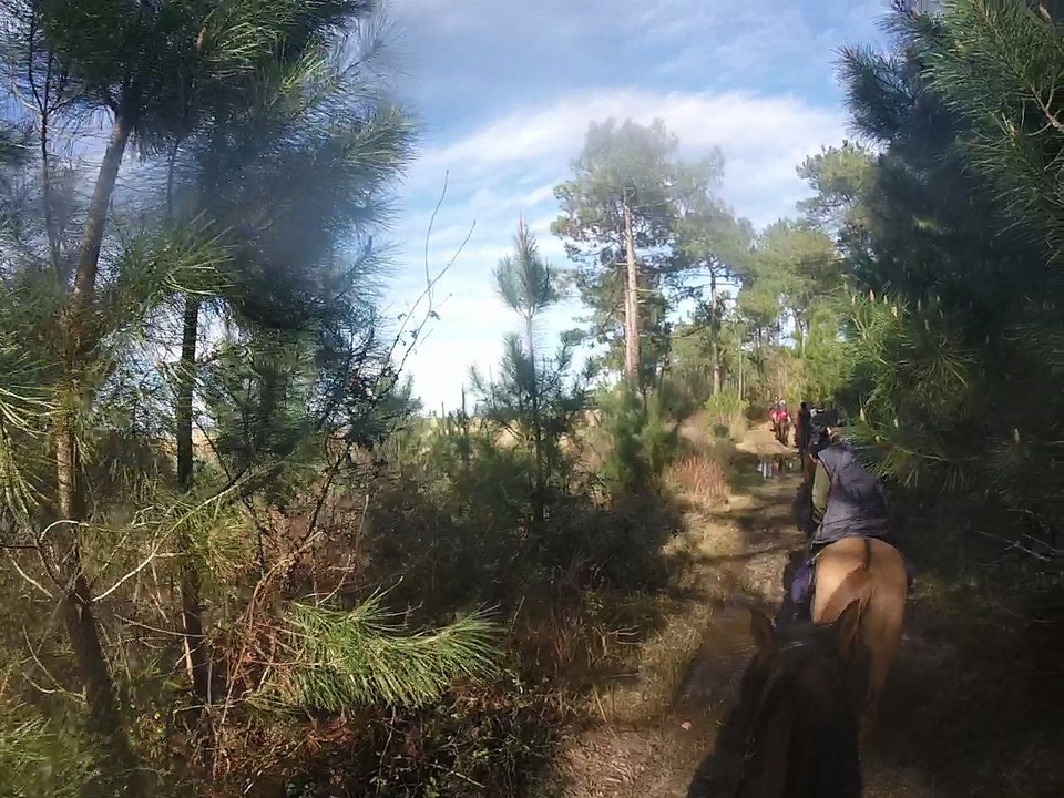 retour par le lac de Sanguinet Mars 2017