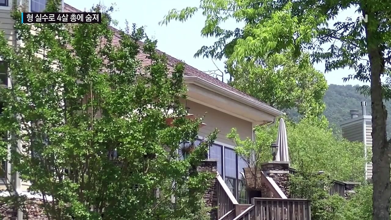엄마가 두 딸 총으로 쏴 살해...美 끝없는 총기 비극 / YTN (Yes! Top...