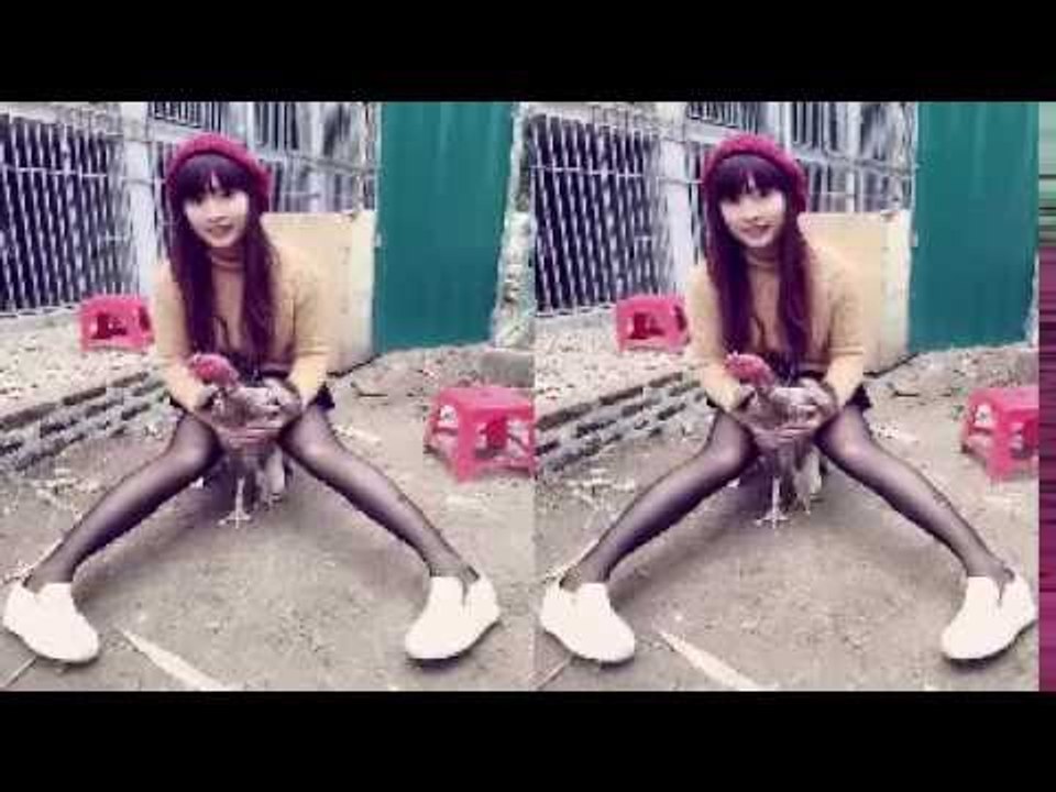 Nữ Sư Kê , Hướng Dẫn Chọn Gà Chọi Tốt , GÀ NÒI