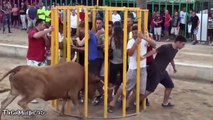 [MP4 720p] Funny videos 2017 _ People Fails, Bull Fighting, Try not to laugh or grin