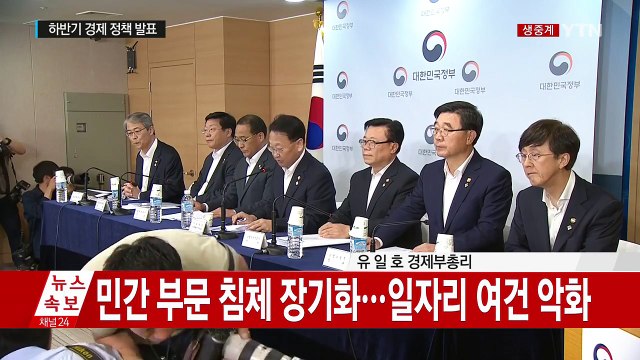 정부, 하반기 경제 정책 발표...20조 재정 투입 (전문) / YTN (Yes! Top News)
