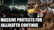 Jallikattu : Rajinikanth to Kamal Hassan, AR Rahman and Trisha joined the protest |Oneindia News