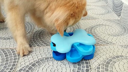 Swiveling Dog Bowl Kibble Hunt