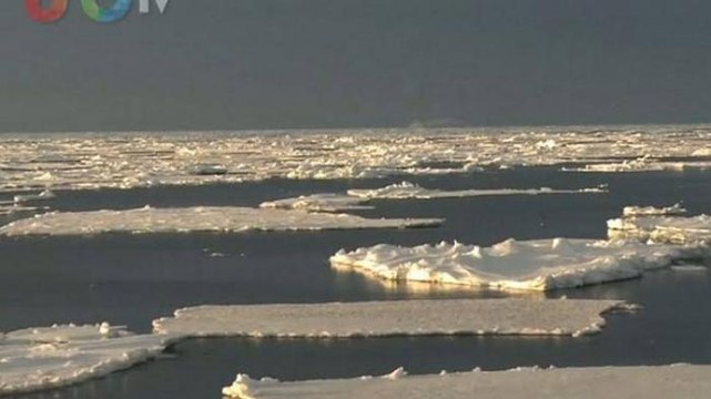 Alejandra Cullen | Trump contra el mundo... no le importa el calentamiento global